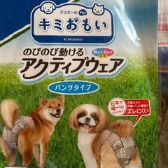 小型犬おむつの画像