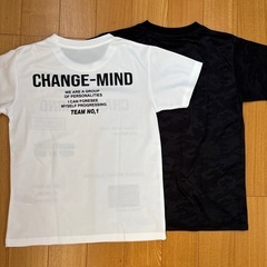 男の子 Tシャツ 150センチ 美品 2枚セットの画像