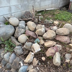 庭石？　大量の画像