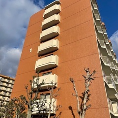 東大阪　塗装工　日当10000円〜　日払い前借り可！女性可！免許無し可！の画像