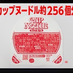 カップヌードル クエストⅡ ラグマットの画像