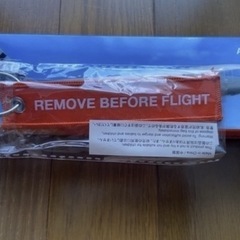 ジェットスターの飛行機模型とキーホルダーの画像