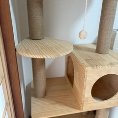 キャットタワー 使用感なしの画像