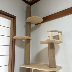キャットタワー 使用感なしの画像
