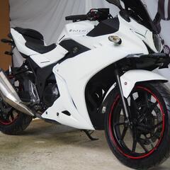 SUZUKI　GSX250R　ブルーパールホワイト　全塗装・整備済

の画像
