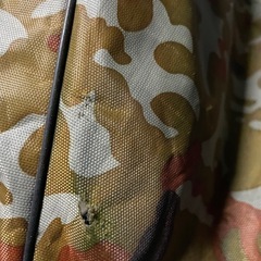 ブレイブボード
の画像