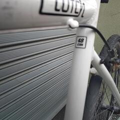 cutch  tern  650 × 28cの画像