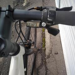 cutch  tern  650 × 28cの画像