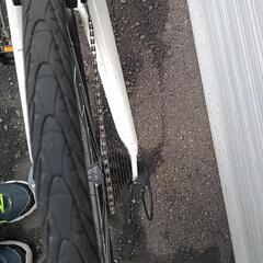 cutch  tern  650 × 28cの画像