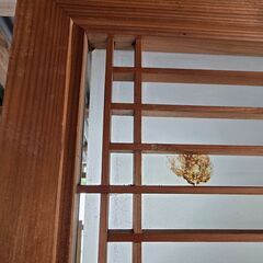 曇りガラス欄間（細長）の画像
