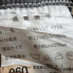 0719-100 絨毯の画像