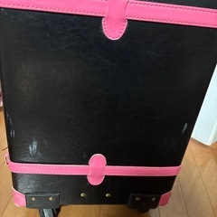 キャリーバッグの画像
