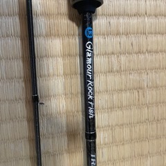 ブリーデン　(BREADEN) トレバリズムキャビン 506 TS-tip. アジング　チタンティップの画像
