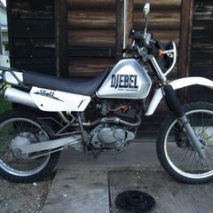 スズキ ジェベル200 実働 鍵あり 書類あり (SUZUKI DJEBEL200 DR200SEY SH42A バイク オートバイ)の画像