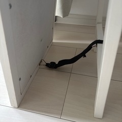 姿見　ミラーの画像