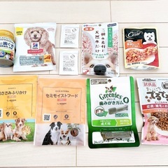 新品 未使用 ドッグフードセット　AmazonわんわんボックスBの画像