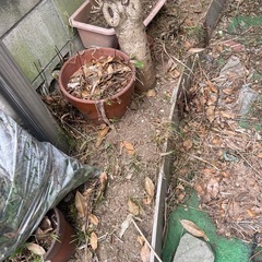 土をあげますの画像