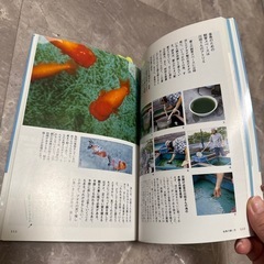 金魚　本　飼育本の画像