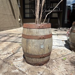樽　ドンキーコングガーデニング用植木鉢の画像