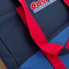 【美品】Costco（コストコ）保冷バッグ 2個セット（バラ売り相談可）の画像