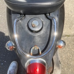 引き取り先決まりましたの画像