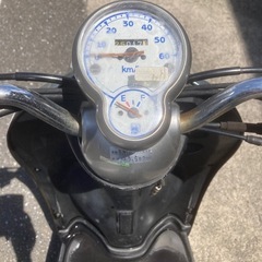引き取り先決まりましたの画像
