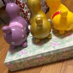 ロディの画像