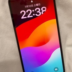 iPhone13 pro 256GB 本日限定値下げ 