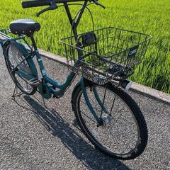 アサヒサイクル　カーグバスケットBAA　２４インチの画像