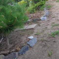 【受付終了／全部譲り先決まりました】庭石　差し上げますの画像