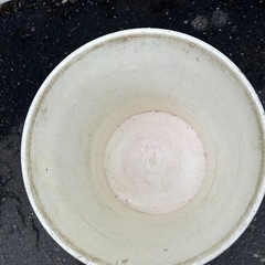 空きオイル缶
の画像