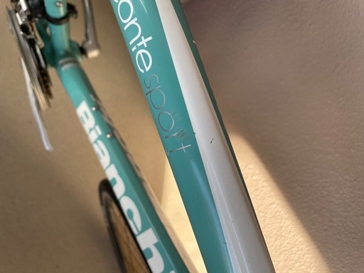 bianchiビアンキ カメレオンテサイズ51 (福太郎) 多治見のクロス