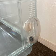  小動物　ゲージ　ＧＥＸ　の画像