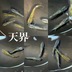 ランキングキーワードに紐づく投稿画像-メダカ