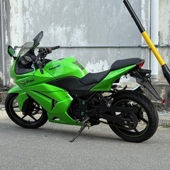 【売約済み】カワサキ・ニンジャ２５０Ｒの画像