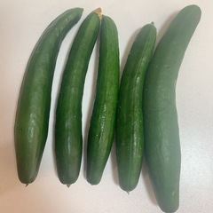 きゅうり　5本の画像
