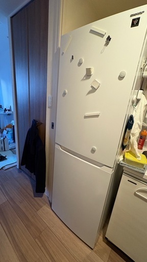 7/31迄nシャープ冷蔵庫2023年 購入 冷蔵庫・冷凍庫 総合（2023-1号） |