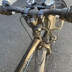 子供用自転車 ブリヂストン エクスプレスジュニア  22インチの画像