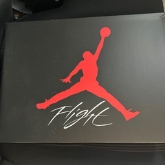 ※新品未使用※AIR JORDAN 4 RETRO White Cement 　fv5029-100 の画像