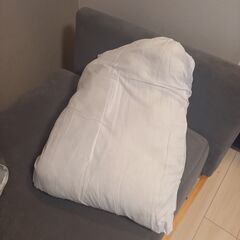 大きめ一人掛けソファ（グレージュ）の画像