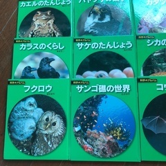 科学のアルバム　動物、鳥編15冊セットの画像