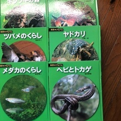 科学のアルバム　動物、鳥編15冊セットの画像