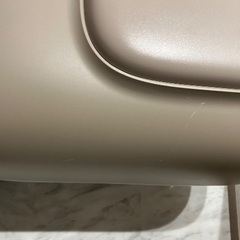 【PetSnowy ブラウン PREMIUM】の画像