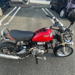 ホンダの画像
