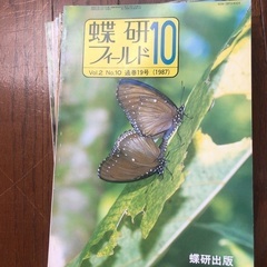 蝶研フィールド　　生き物、昆虫、の画像