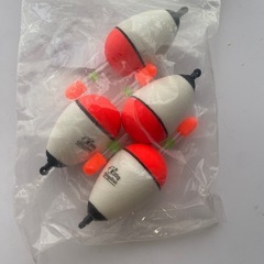 釣り物の画像