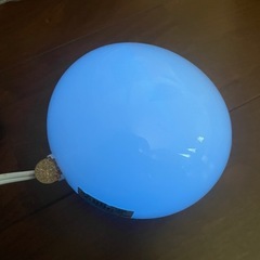 卓上　豆電球 
の画像