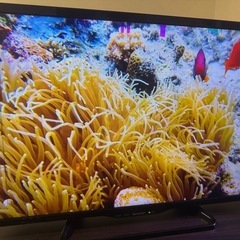 SHARP AQUOSの画像