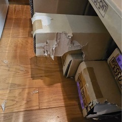 YODOKO x Coleman 限定物置 物置・赤　緑　コールマン　ヨドコウ　未使用の画像