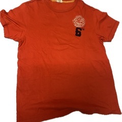 Tシャツ　スカート等の画像